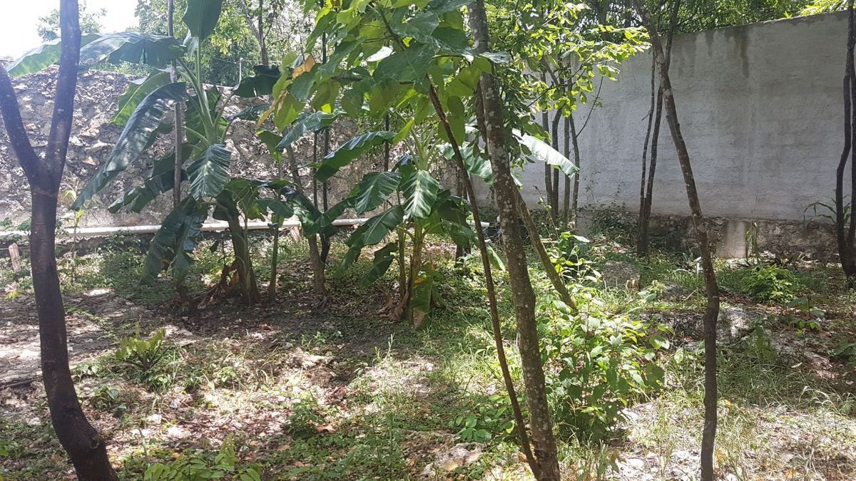 terreno en venta eje sur cancun