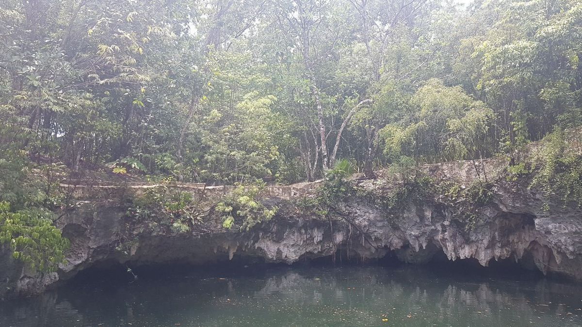 cenote