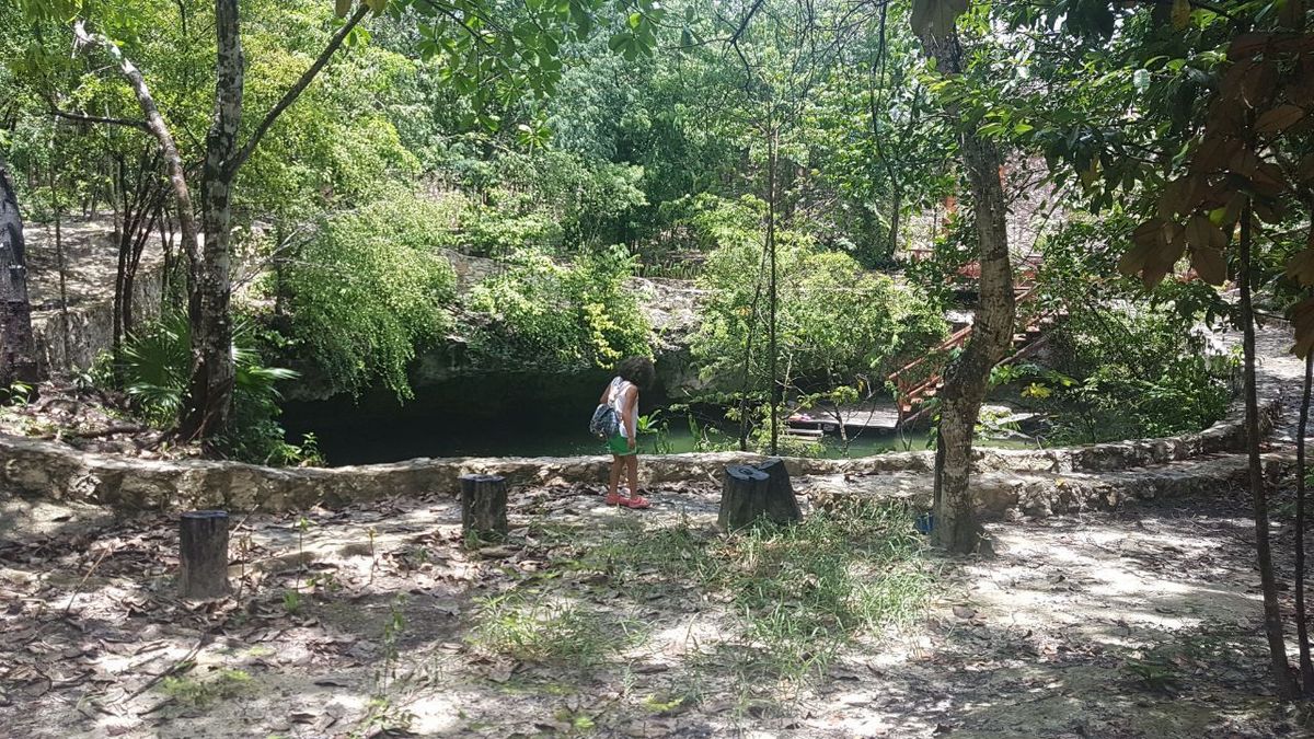terreno para desarrolladores del sur