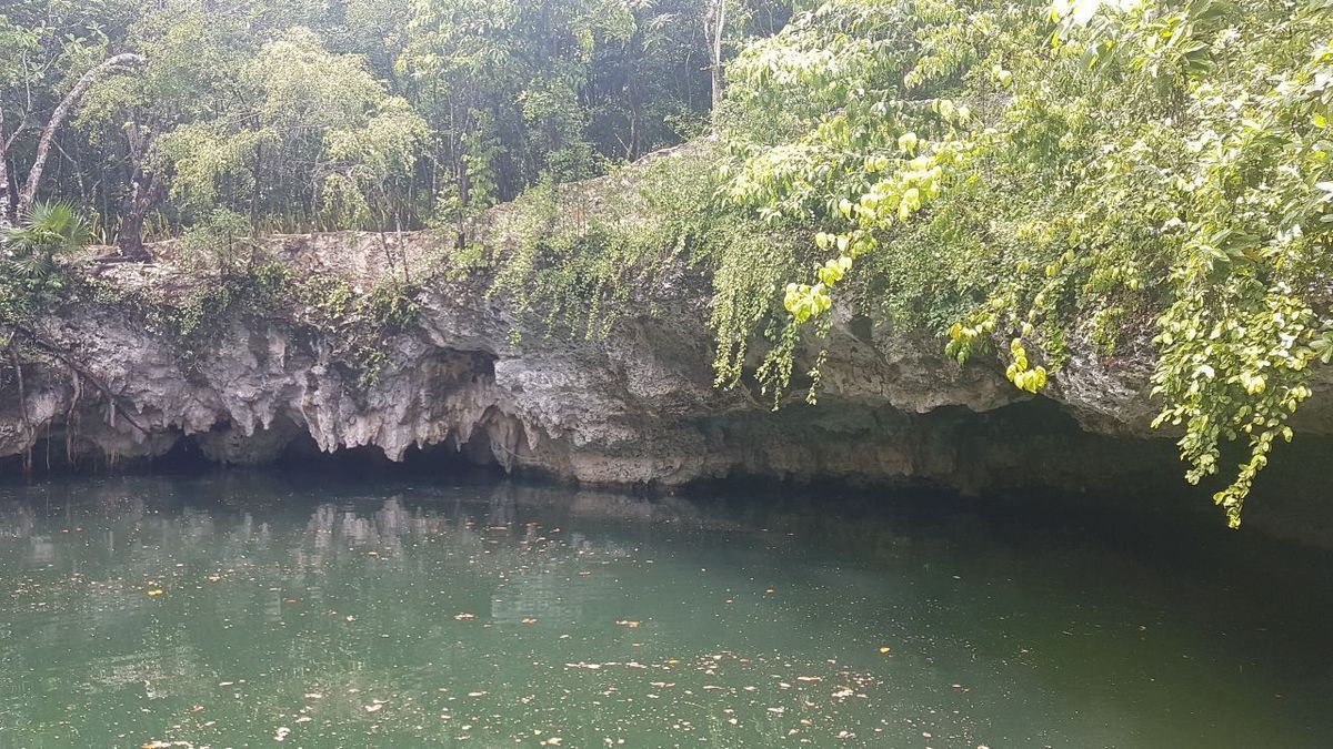 cenote