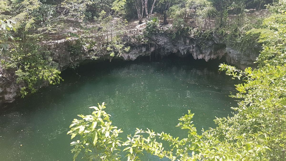 terreno con cenote