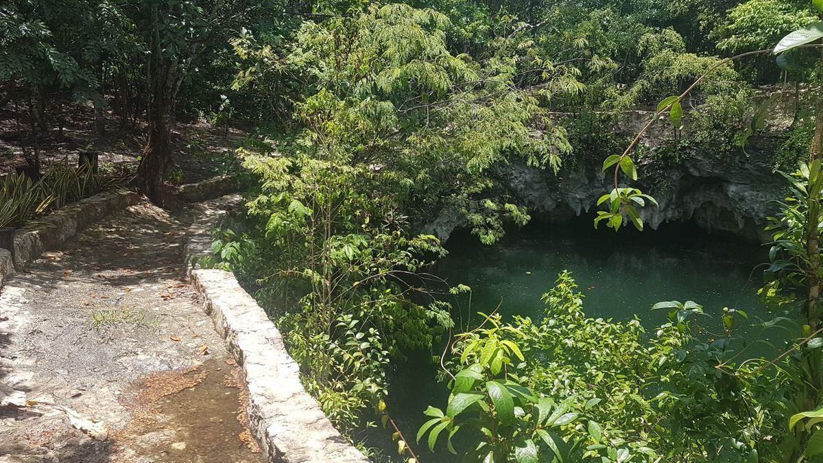 terreno con cenote en el sur de cancun