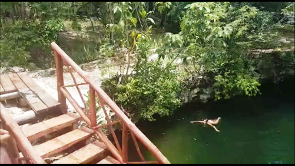 terreno con cenote ideal para desarrolladores del sur