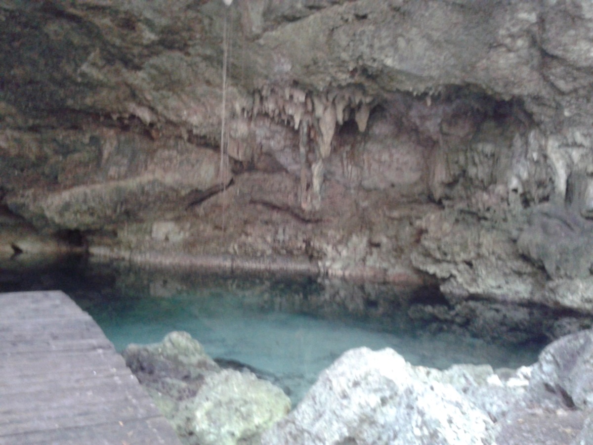 image 12