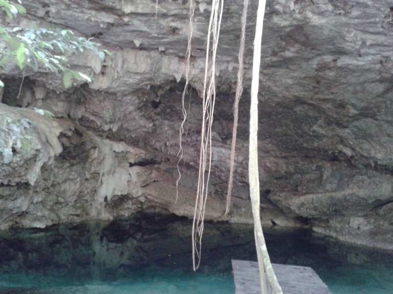 image 13