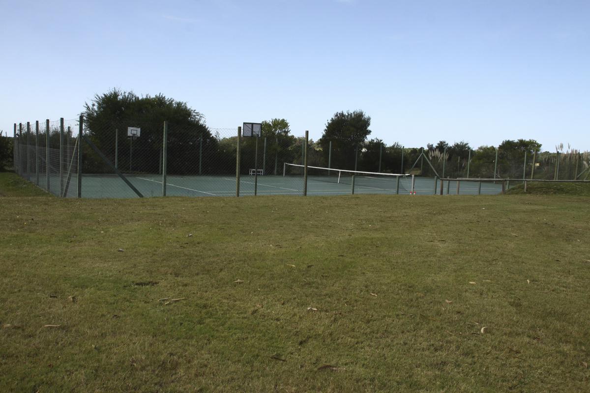 image 67