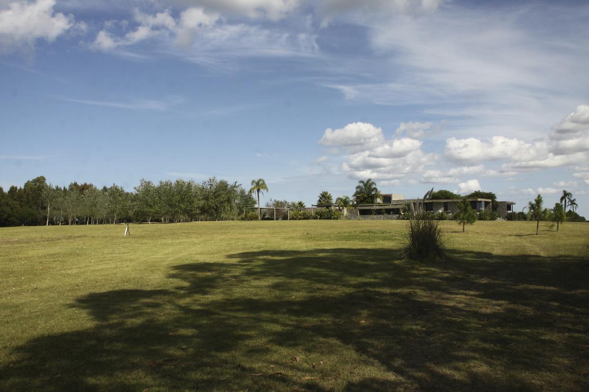 image 69