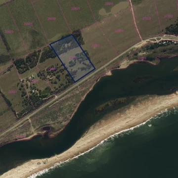 Chacra - José Ignacio