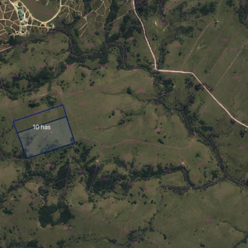 Chacra  10 has  Garzón