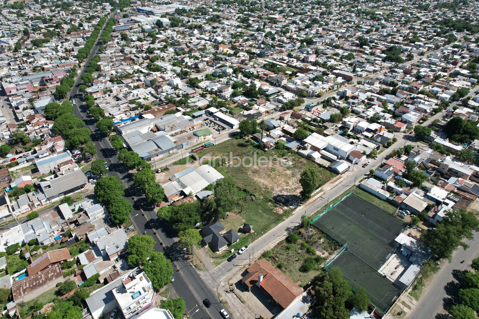 image 9