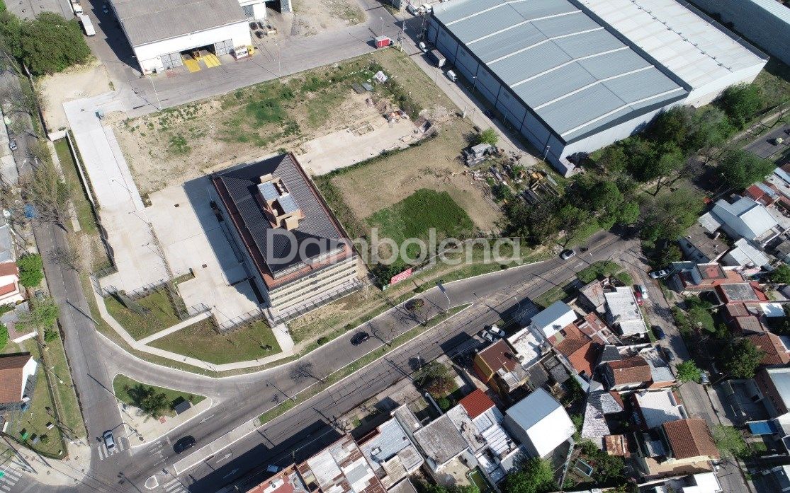 image 7