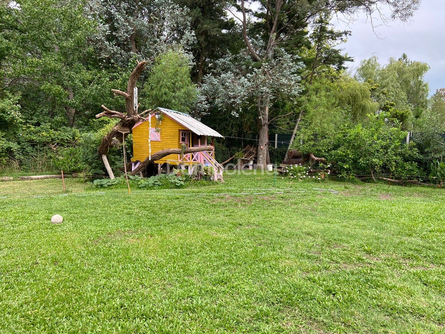 image 19