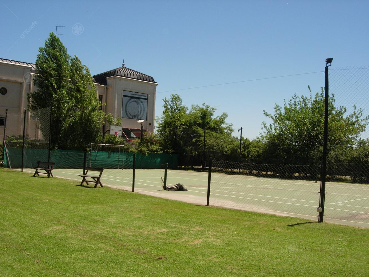 image 14