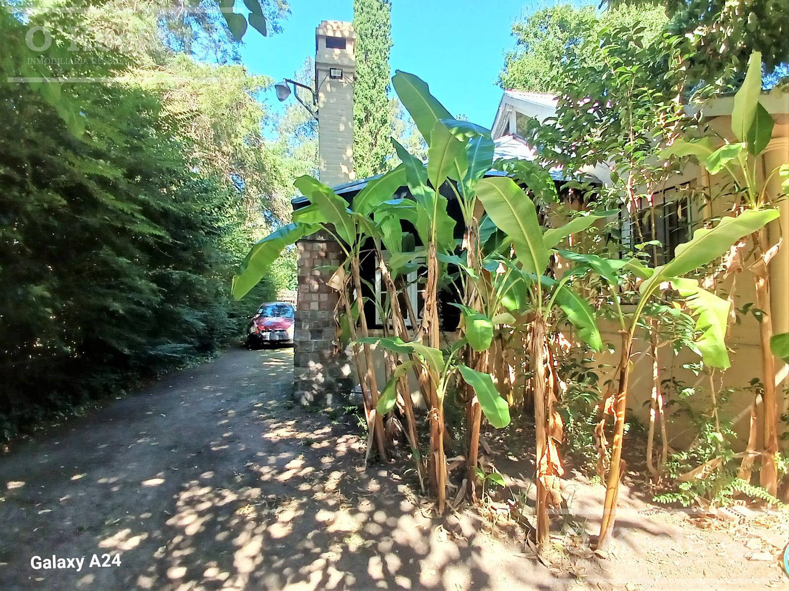 image 34