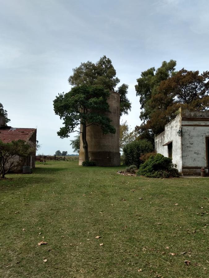 image 22