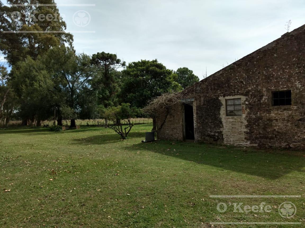 image 26