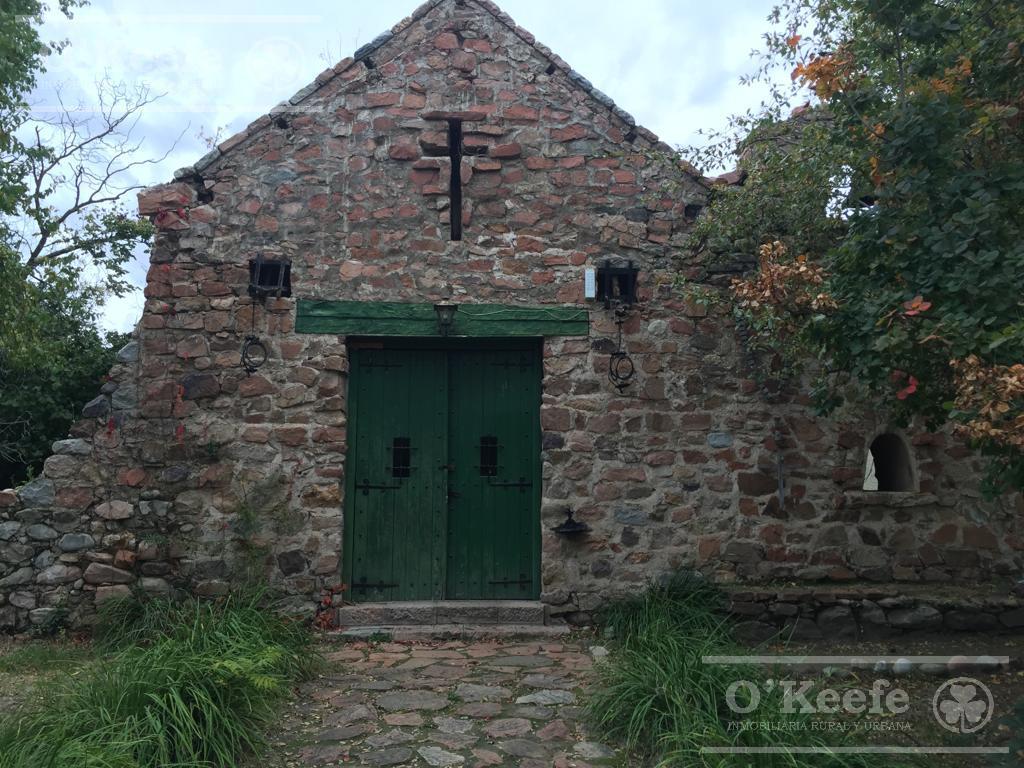 image 36