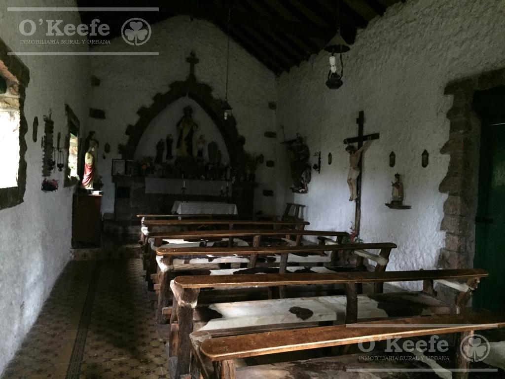 image 37