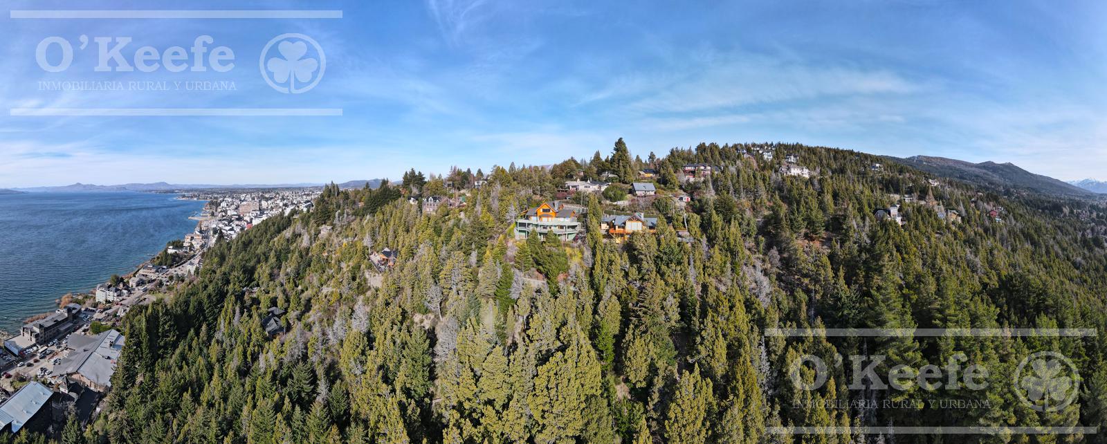 image 37