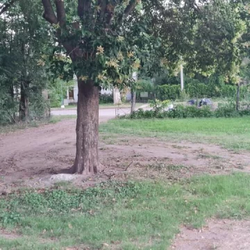 VENTA Terreno en la localidad de Bigand