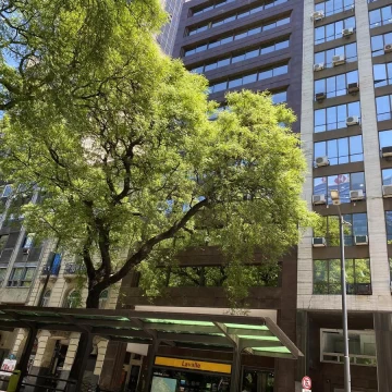 Excelente Piso de Oficinas - 280 m2 - 2 cocheras- Catalinas