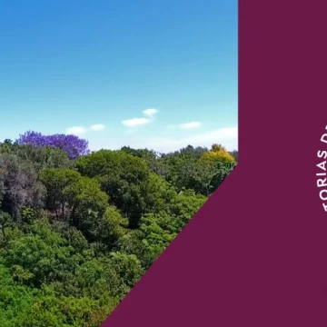 Importante Casa - 8000 m2 sobre el Rio - Arroyo Seco