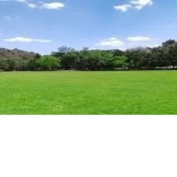 DEL PERICON