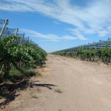 San Martin