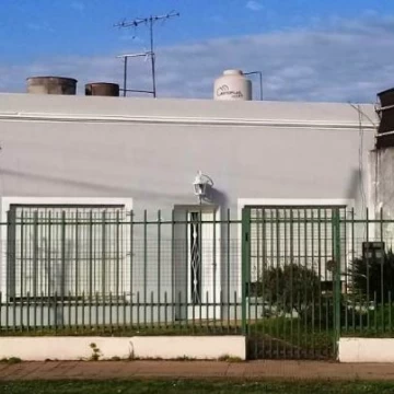 D errico 800