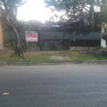Firpo 500