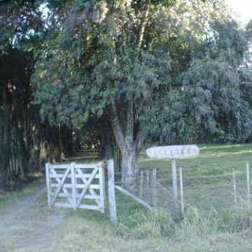 COLECTORA NORTE