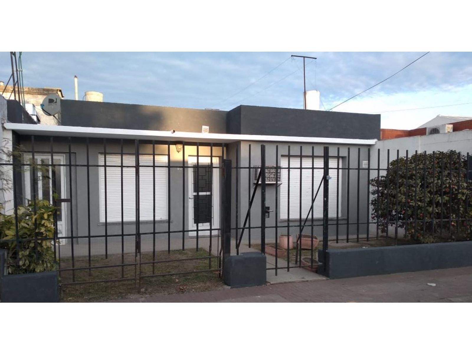 frente