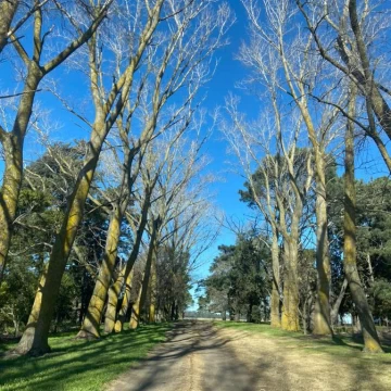 Campo en La Ballenera de gran escala