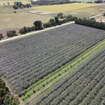 10Ha - Agrícola - Miramar