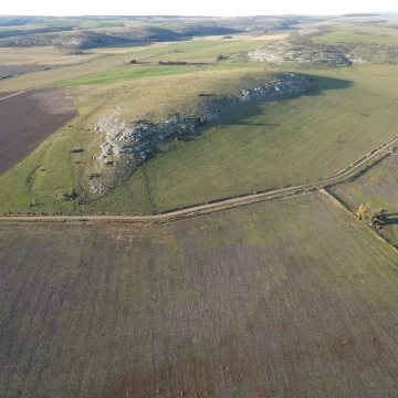 Campo en Balcarce de 70 Ha
