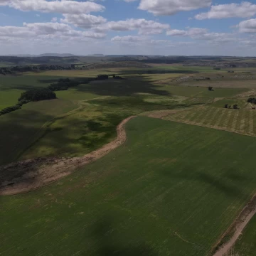 Campo en Balcarce de 75 Ha