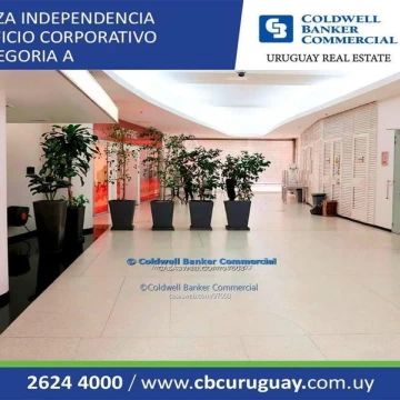 Oficina Ciudad Vieja - Plaza Independencia - Alquiler