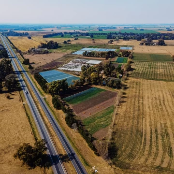 Campo de 27 hectareas a la venta sobre ruta 7