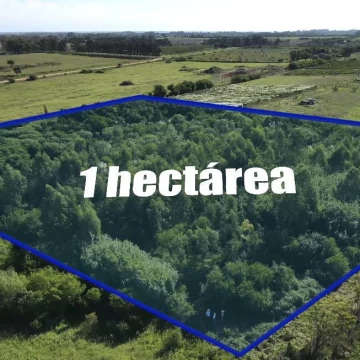 Venta de chacra en  Paraje Cerro de Carmelo, Colonia.